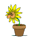 n_blu504.gif (7818 Byte)