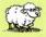 schaf123.jpg (918 Byte)